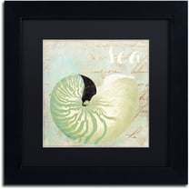 Trademark Fine Art "Turquoise Beach I" Canvas Art by Color Bakery Black Matte, Black Frame