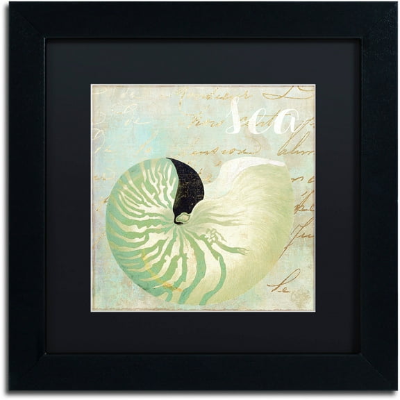 Trademark Fine Art "Turquoise Beach I" Canvas Art by Color Bakery Black Matte, Black Frame