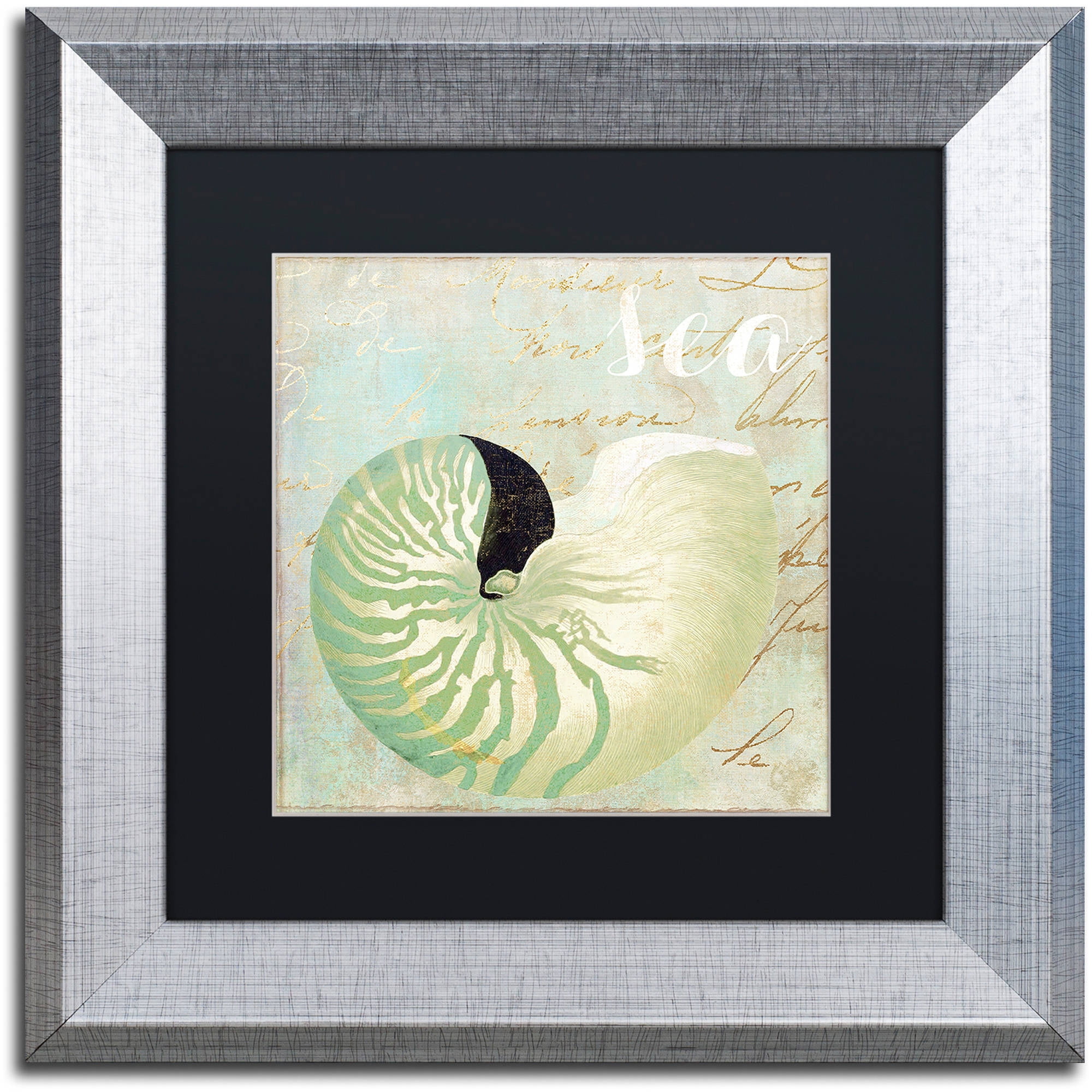 Trademark Fine Art "Turquoise Beach I" Canvas Art by Color Bakery Black Matte, Silver Frame
