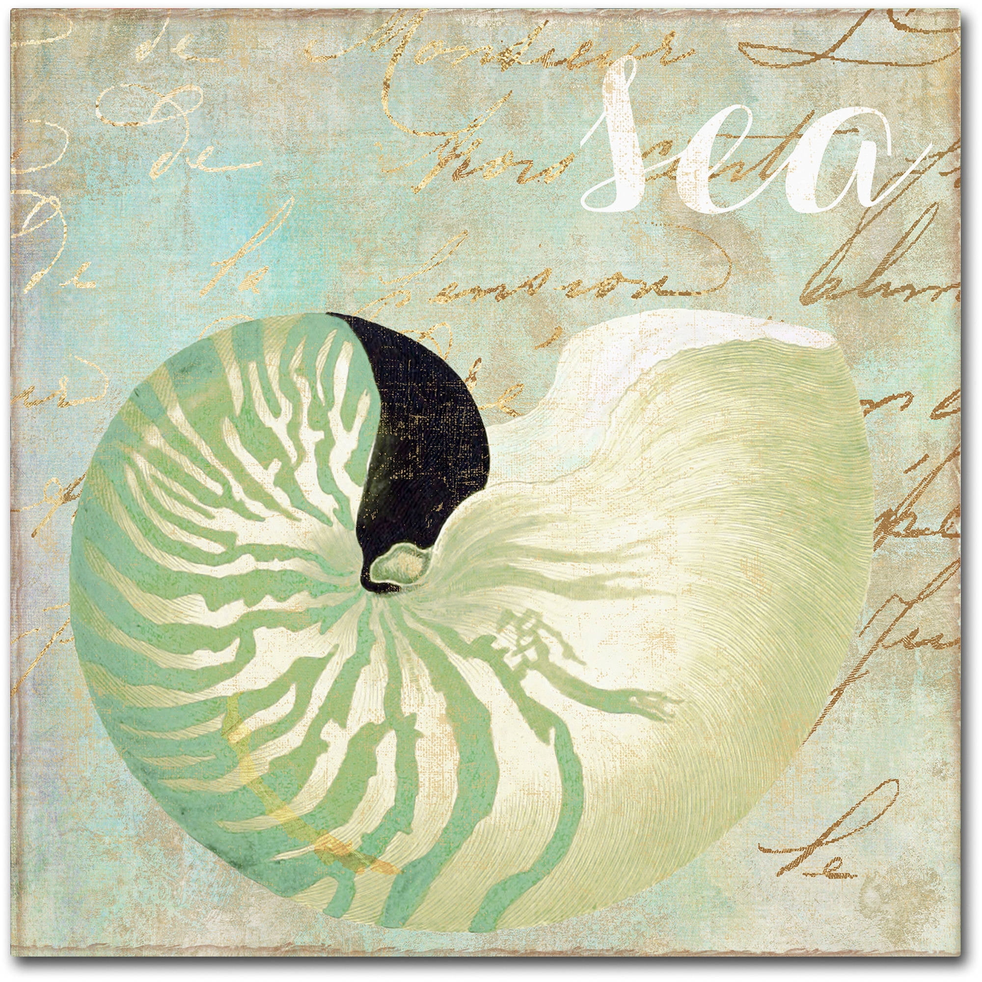 Trademark Fine Art "Turquoise Beach I" Canvas Art by Color Bakery