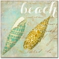 thumbnail image 1 of Trademark Fine Art "Turquoise Beach II" Canvas Art by Color Bakery, 1 of 3