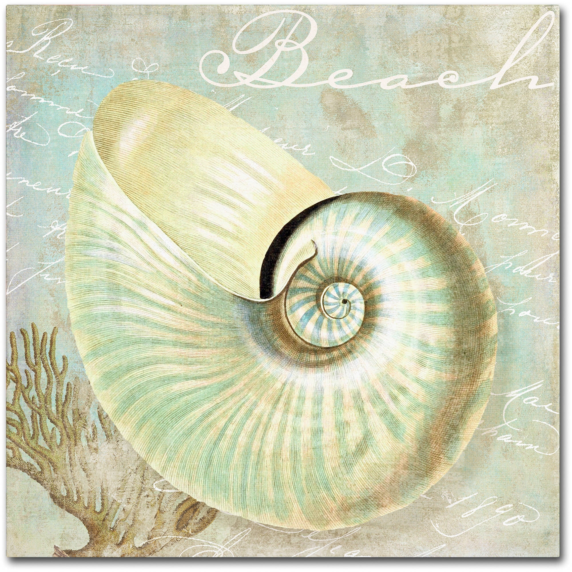 Trademark Fine Art "Turquoise Beach IV" Canvas Art by Color Bakery