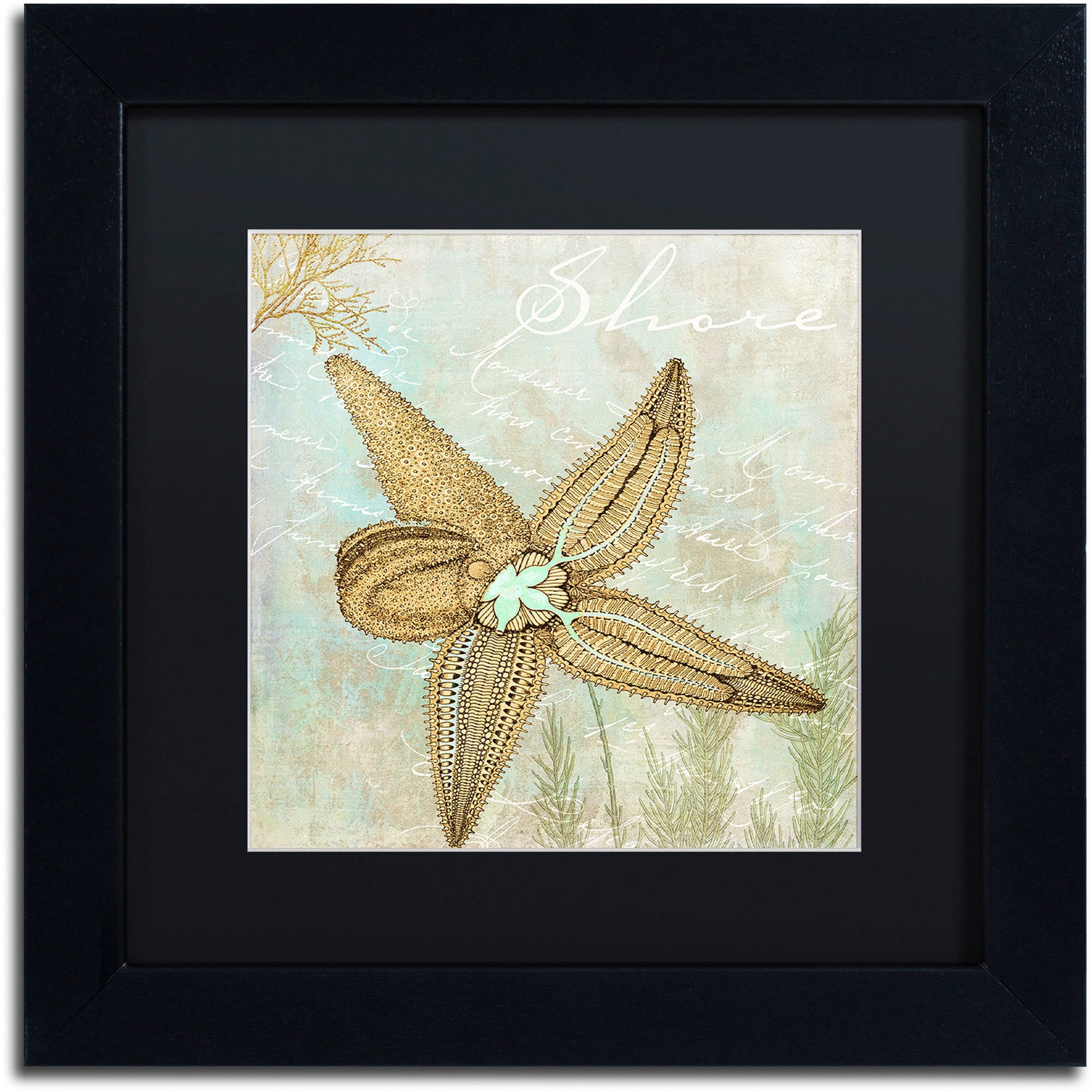 Trademark Fine Art "Turquoise Beach V" Canvas Art by Color Bakery Black Matte, Black Frame