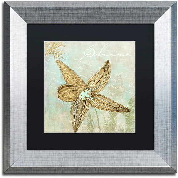 Trademark Fine Art "Turquoise Beach V" Canvas Art by Color Bakery Black Matte, Silver Frame