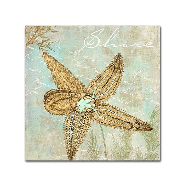 Trademark Fine Art "Turquoise Beach V" Canvas Art by Color Bakery
