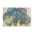 thumbnail image 1 of Trademark Fine Art 'Turquoise Hydrangea On Barn Board' Canvas Art by Albena Hristova, 1 of 3