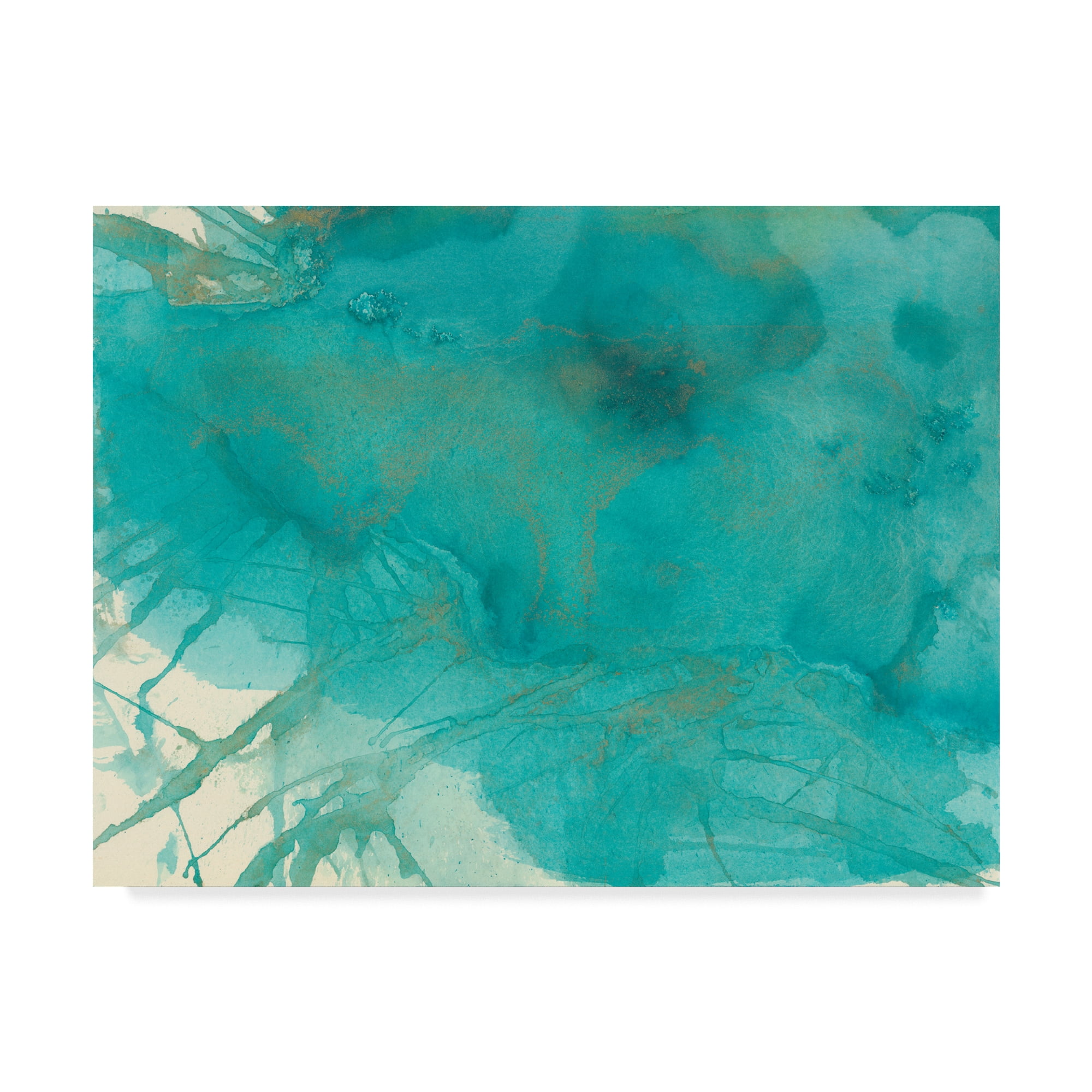 Trademark Fine Art 'Turquoise Moment I' Canvas Art by Joyce Combs