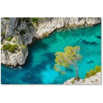 Trademark Fine Art "Turquoise Waters" Canvas Art by Michael Blanchette Photography