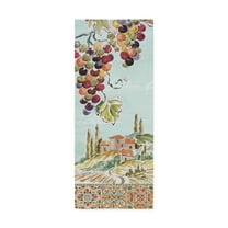 Trademark Fine Art 'Tuscan Breeze IV' Canvas Art by Daphne Brissonnet