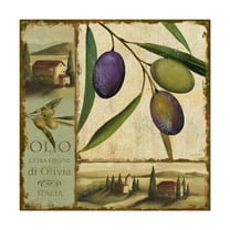 Trademark Fine Art 'Tuscan Delight I' Canvas Art by Lisa Audit