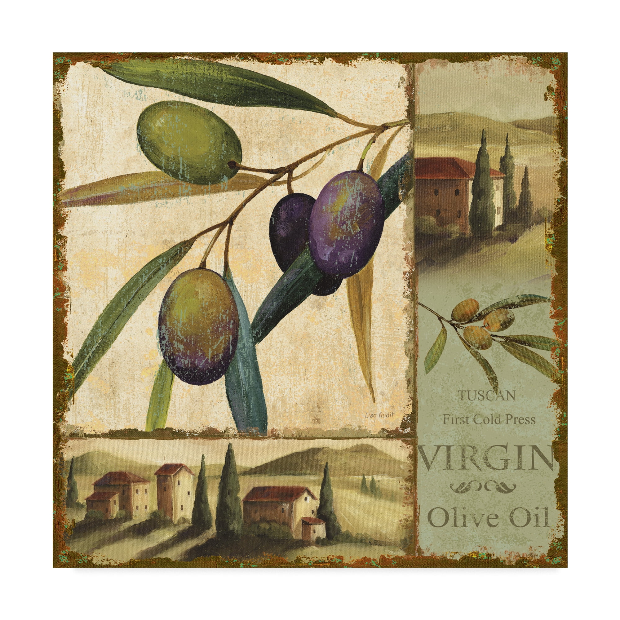 Trademark Fine Art 'Tuscan Delight II' Canvas Art by Lisa Audit