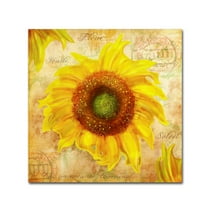 Trademark Fine Art 'Tuscan Flower 7' Canvas Art by ALI Chris