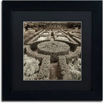 Trademark Fine Art "Tuscan Giardini I" Canvas Art by Alan Blaustein, Black Matte, Black Frame