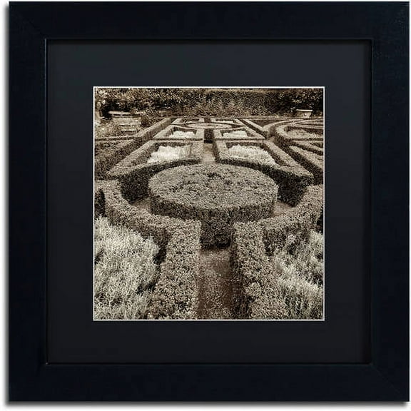 Trademark Fine Art "Tuscan Giardini I" Canvas Art by Alan Blaustein, Black Matte, Black Frame