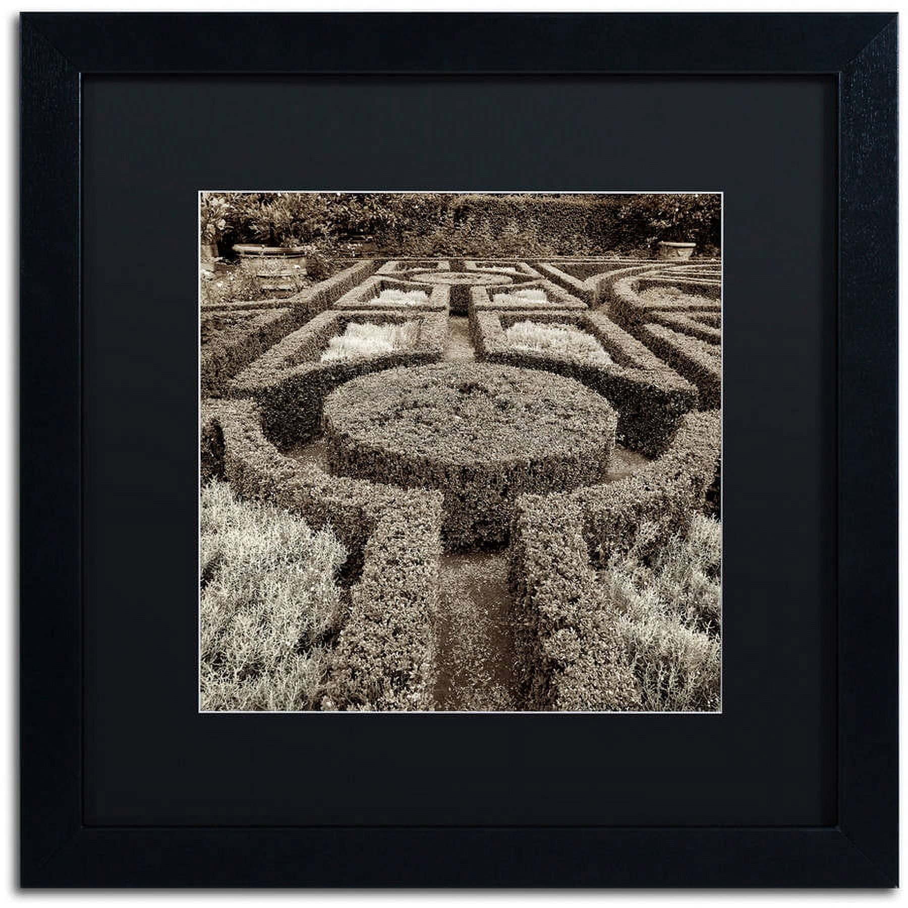 Trademark Fine Art "Tuscan Giardini I" Canvas Art by Alan Blaustein, Black Matte, Black Frame