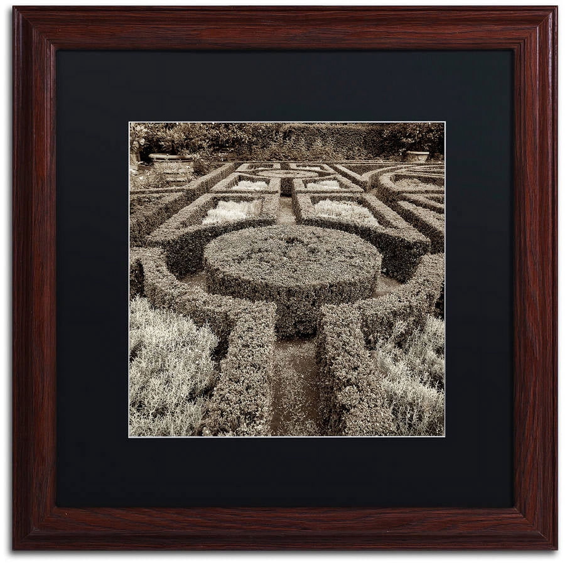 Trademark Fine Art "Tuscan Giardini I" Canvas Art by Alan Blaustein, Black Matte, Wood Frame