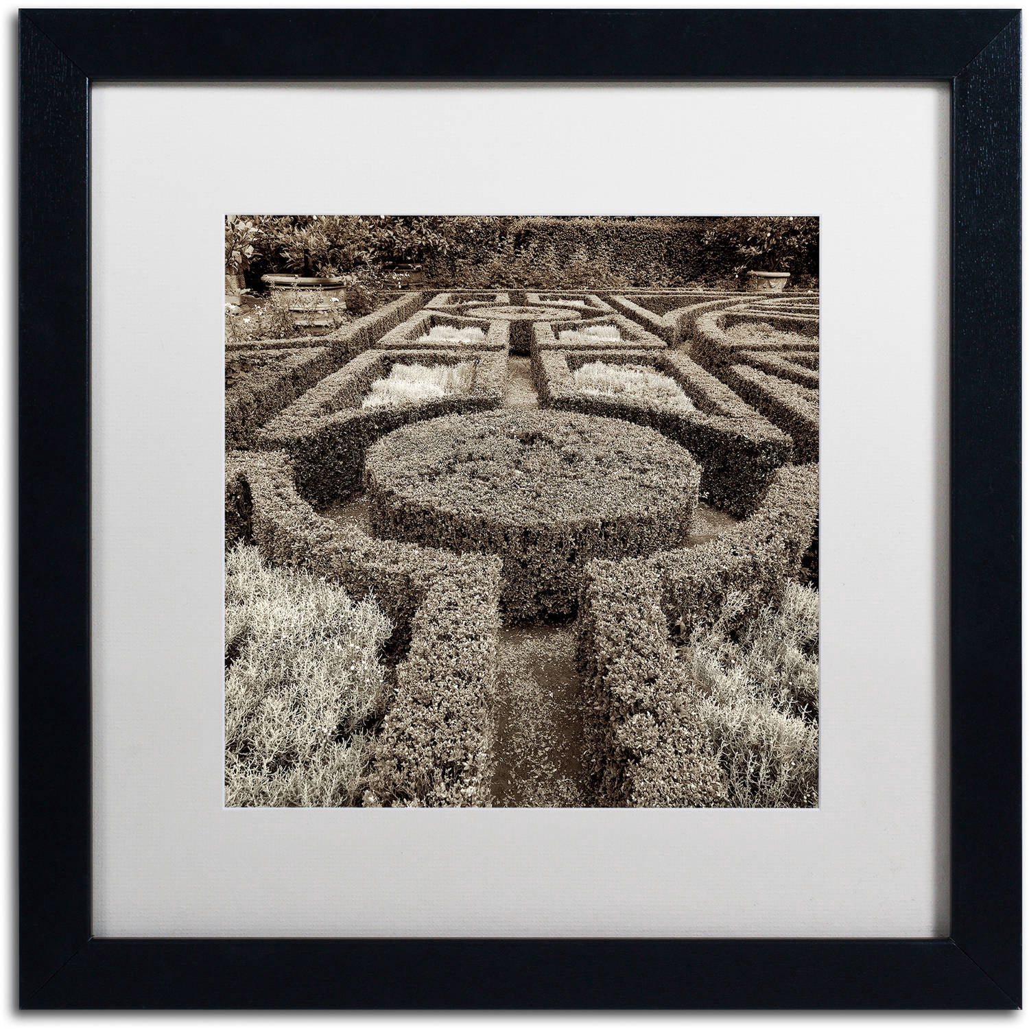Trademark Fine Art "Tuscan Giardini I" Canvas Art by Alan Blaustein, White Matte, Black Frame