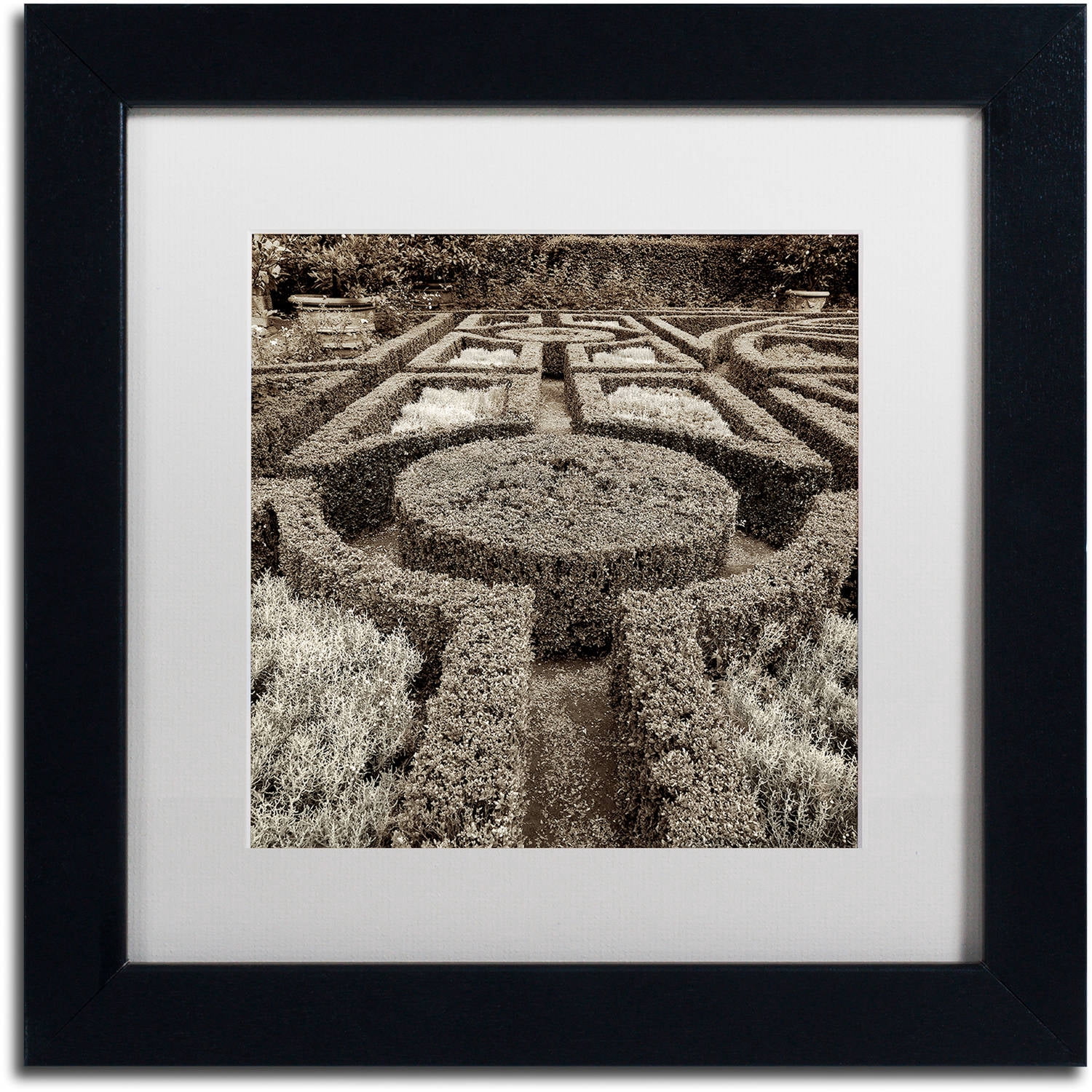 Trademark Fine Art "Tuscan Giardini I" Canvas Art by Alan Blaustein, White Matte, Black Frame