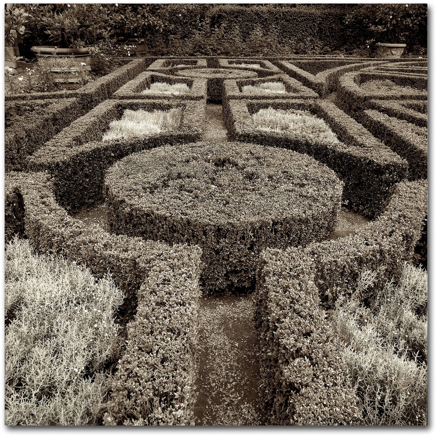 Trademark Fine Art "Tuscan Giardini I" Canvas Art by Alan Blaustein