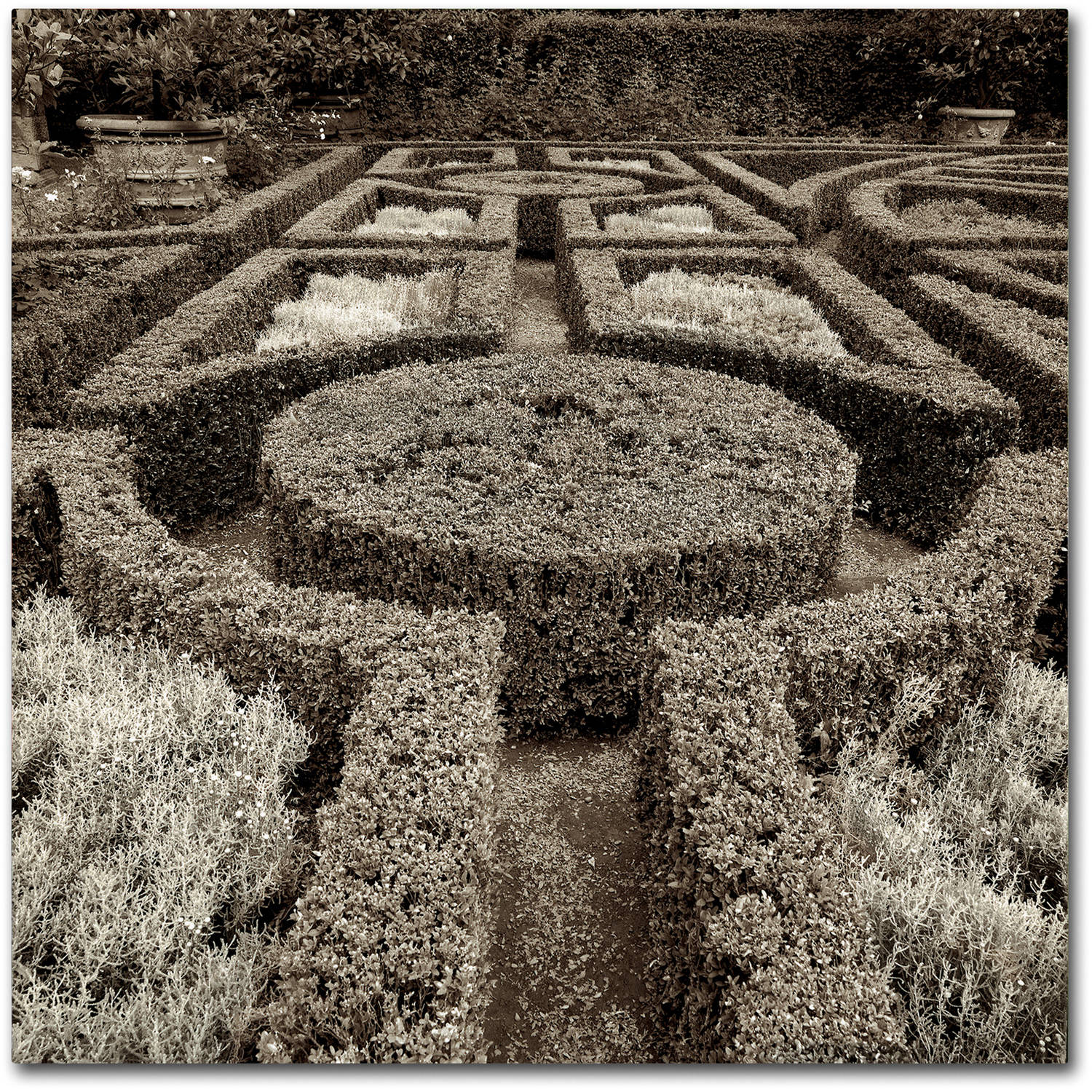 Trademark Fine Art "Tuscan Giardini I" Canvas Art by Alan Blaustein