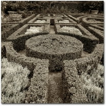 Trademark Fine Art "Tuscan Giardini I" Canvas Art by Alan Blaustein