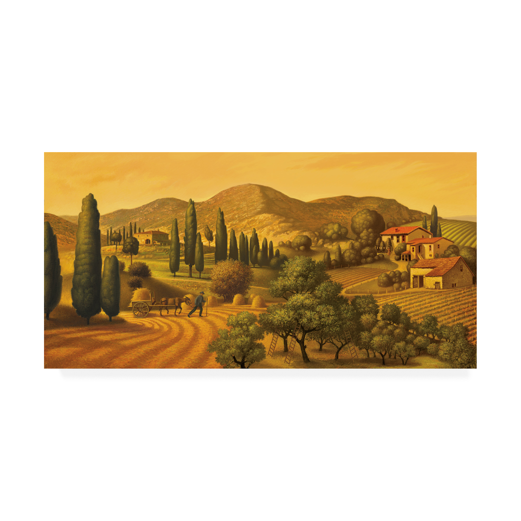 Trademark Fine Art 'Tuscan Landscape' Canvas Art by Dan Craig