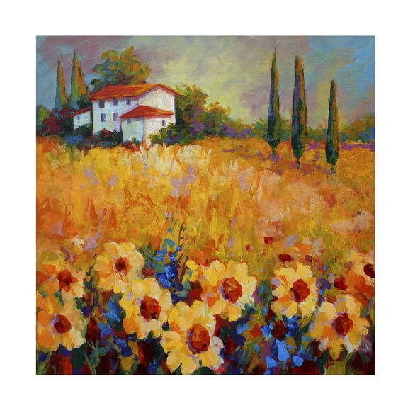 Trademark Fine Art Marion Rose Tuscan Sunflowers Canvas Wall Art - 14x14