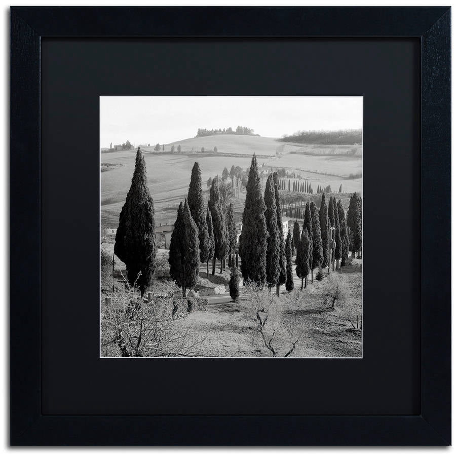 Trademark Fine Art "Tuscany IV" Canvas Art by Alan Blaustein, Black Matte, Black Frame