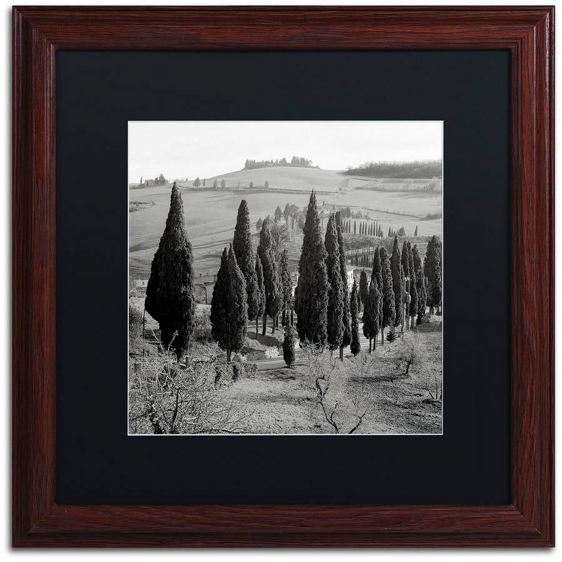 Trademark Fine Art "Tuscany IV" Canvas Art by Alan Blaustein, Black Matte, Wood Frame