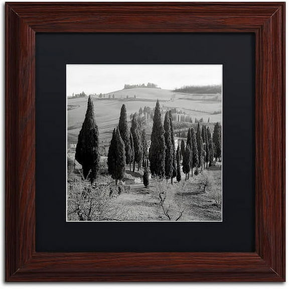 Trademark Fine Art "Tuscany IV" Canvas Art by Alan Blaustein, Black Matte, Wood Frame