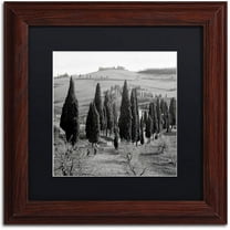 Trademark Fine Art "Tuscany IV" Canvas Art by Alan Blaustein, Black Matte, Wood Frame