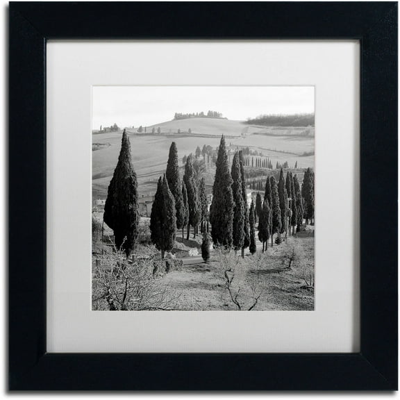 Trademark Fine Art "Tuscany IV" Canvas Art by Alan Blaustein, White Matte, Black Frame
