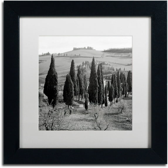 Trademark Fine Art "Tuscany IV" Canvas Art by Alan Blaustein, White Matte, Black Frame