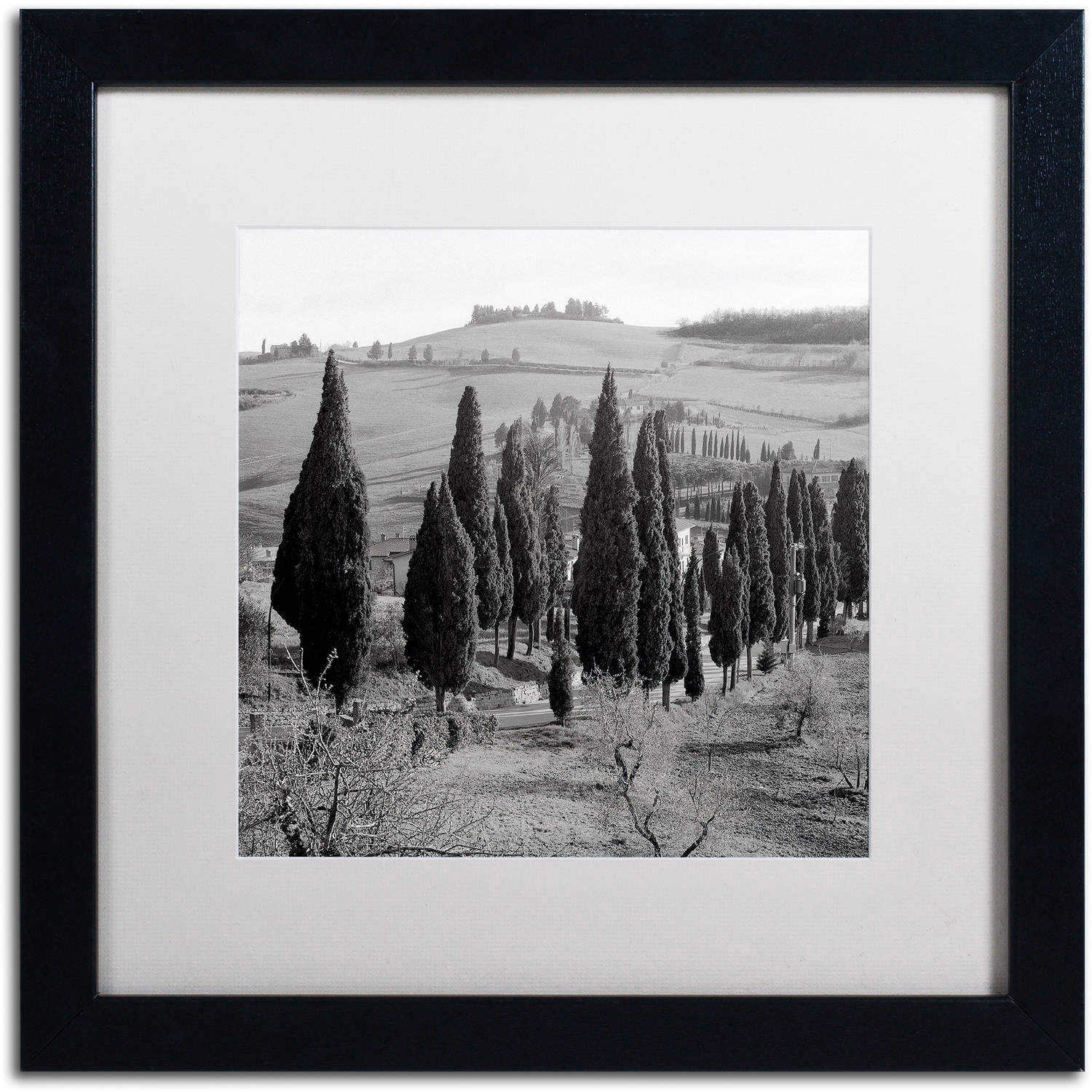 Trademark Fine Art "Tuscany IV" Canvas Art by Alan Blaustein, White Matte, Black Frame