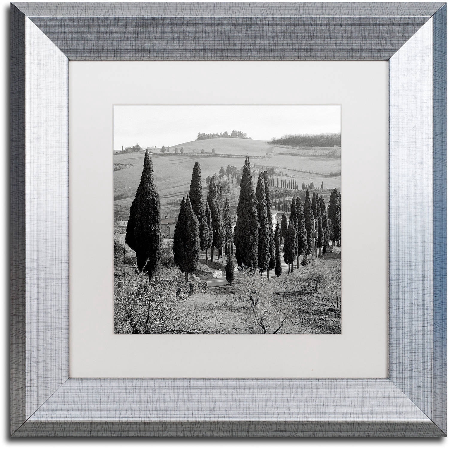 Trademark Fine Art "Tuscany IV" Canvas Art by Alan Blaustein, White Matte, Silver Frame