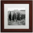 thumbnail image 1 of Trademark Fine Art "Tuscany IV" Canvas Art by Alan Blaustein, White Matte, Wood Frame, 1 of 4