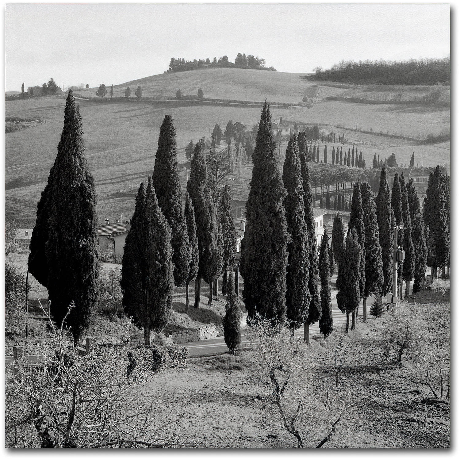 Alan Blaustein 'Tuscany IV' Canvas Art