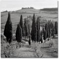 thumbnail image 1 of Alan Blaustein 'Tuscany IV' Canvas Art, 1 of 3