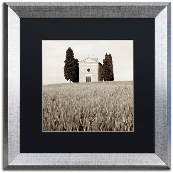Trademark Fine Art "Tuscany IX" Canvas Art by Alan Blaustein, Black Matte, Silver Frame