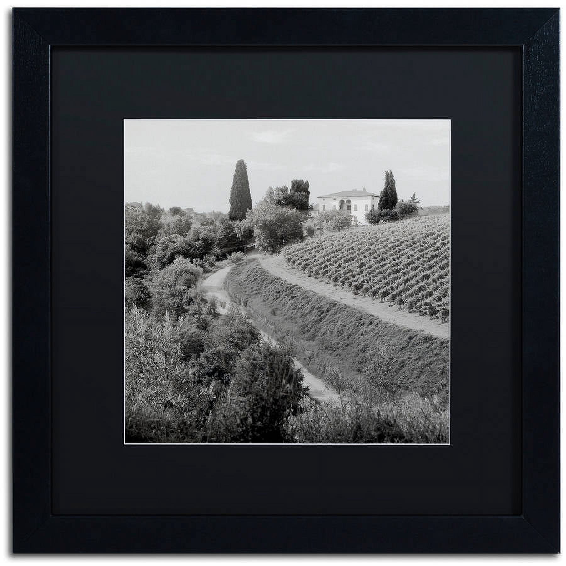 Trademark Fine Art "Tuscany V" Canvas Art by Alan Blaustein, Black Matte, Black Frame