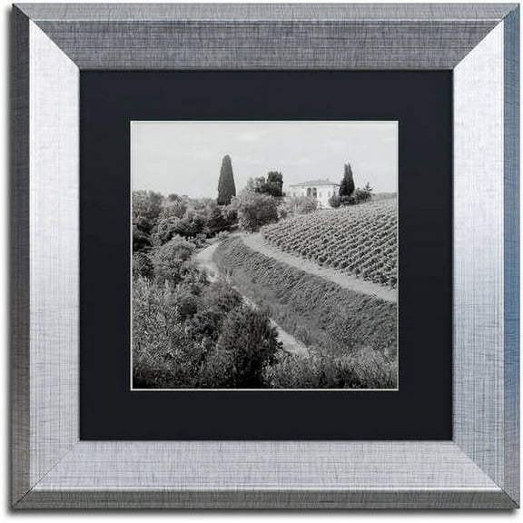 Trademark Fine Art "Tuscany V" Canvas Art by Alan Blaustein, Black Matte, Silver Frame