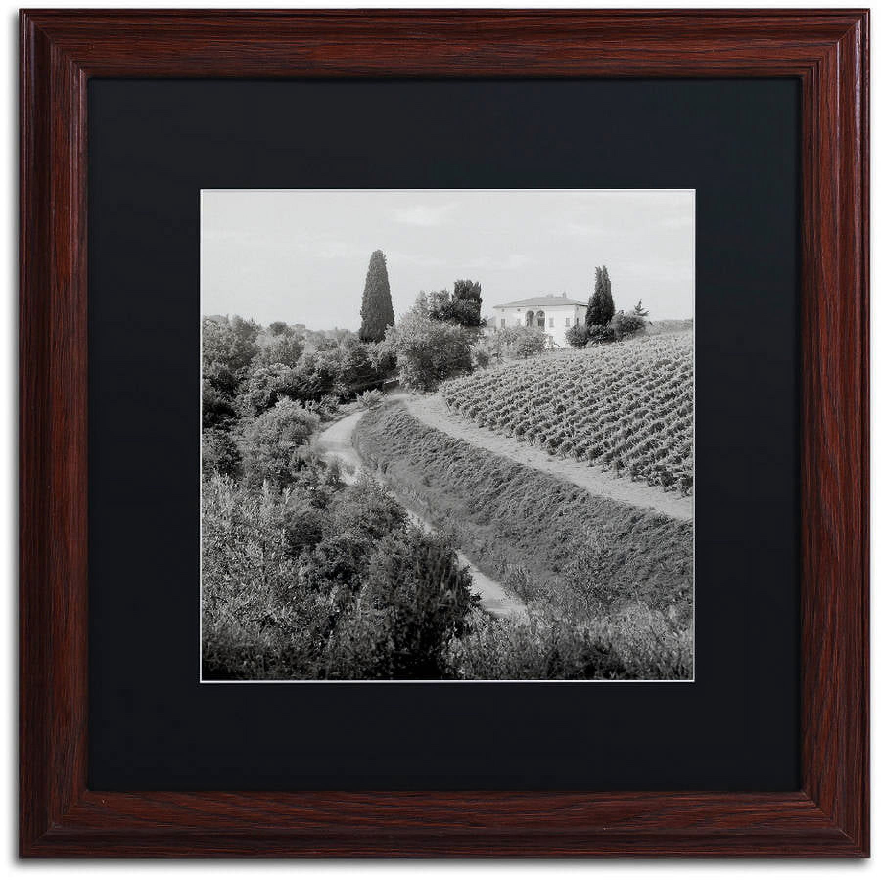 Trademark Fine Art "Tuscany V" Canvas Art by Alan Blaustein, Black Matte, Wood Frame