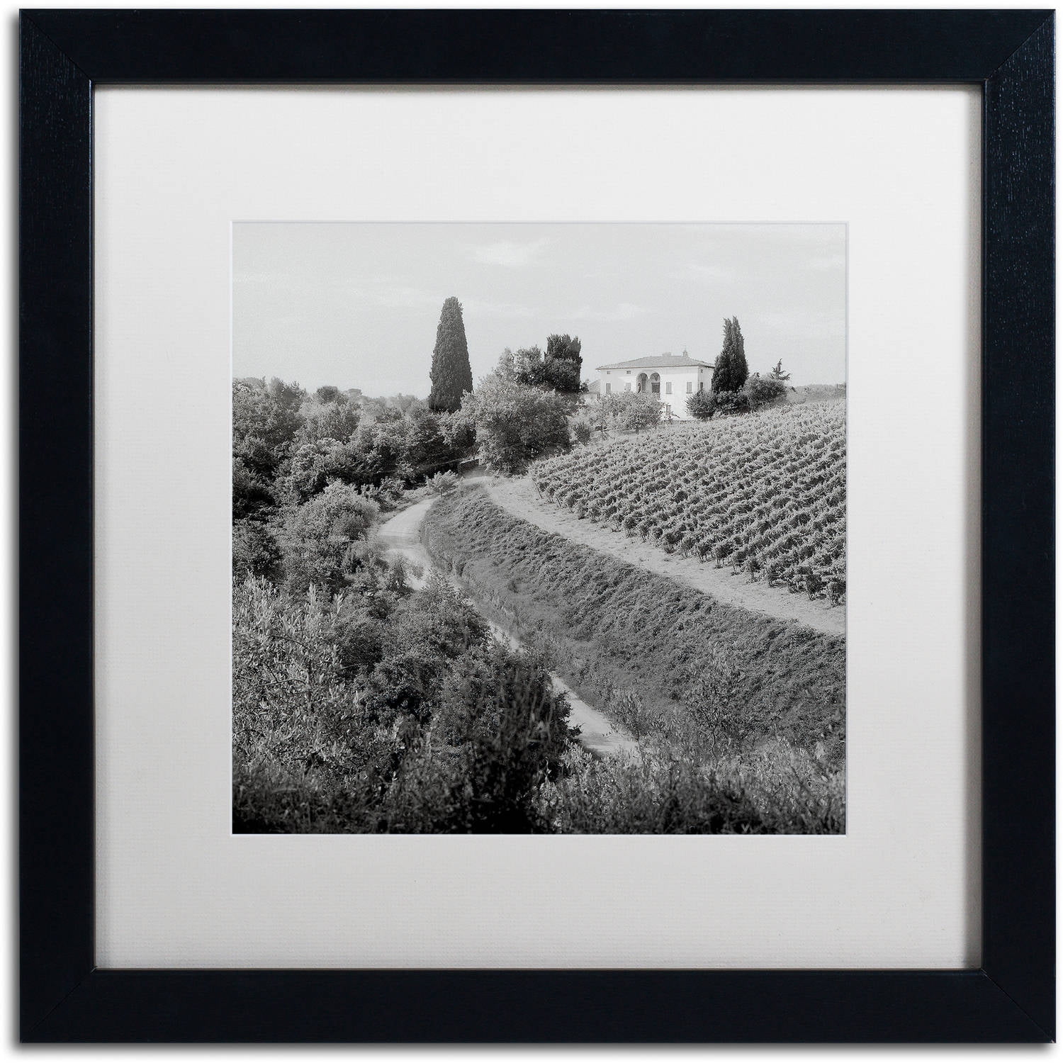 Trademark Fine Art "Tuscany V" Canvas Art by Alan Blaustein, White Matte, Black Frame