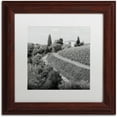thumbnail image 1 of Trademark Fine Art "Tuscany V" Canvas Art by Alan Blaustein, White Matte, Wood Frame, 1 of 4