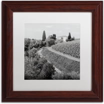 Trademark Fine Art "Tuscany V" Canvas Art by Alan Blaustein, White Matte, Wood Frame