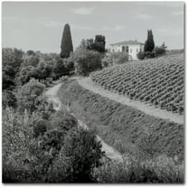 Trademark Fine Art "Tuscany V" Canvas Art by Alan Blaustein