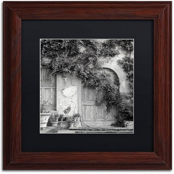 Trademark Fine Art "Tuscany VI" Canvas Art by Alan Blaustein, Black Matte, Wood Frame