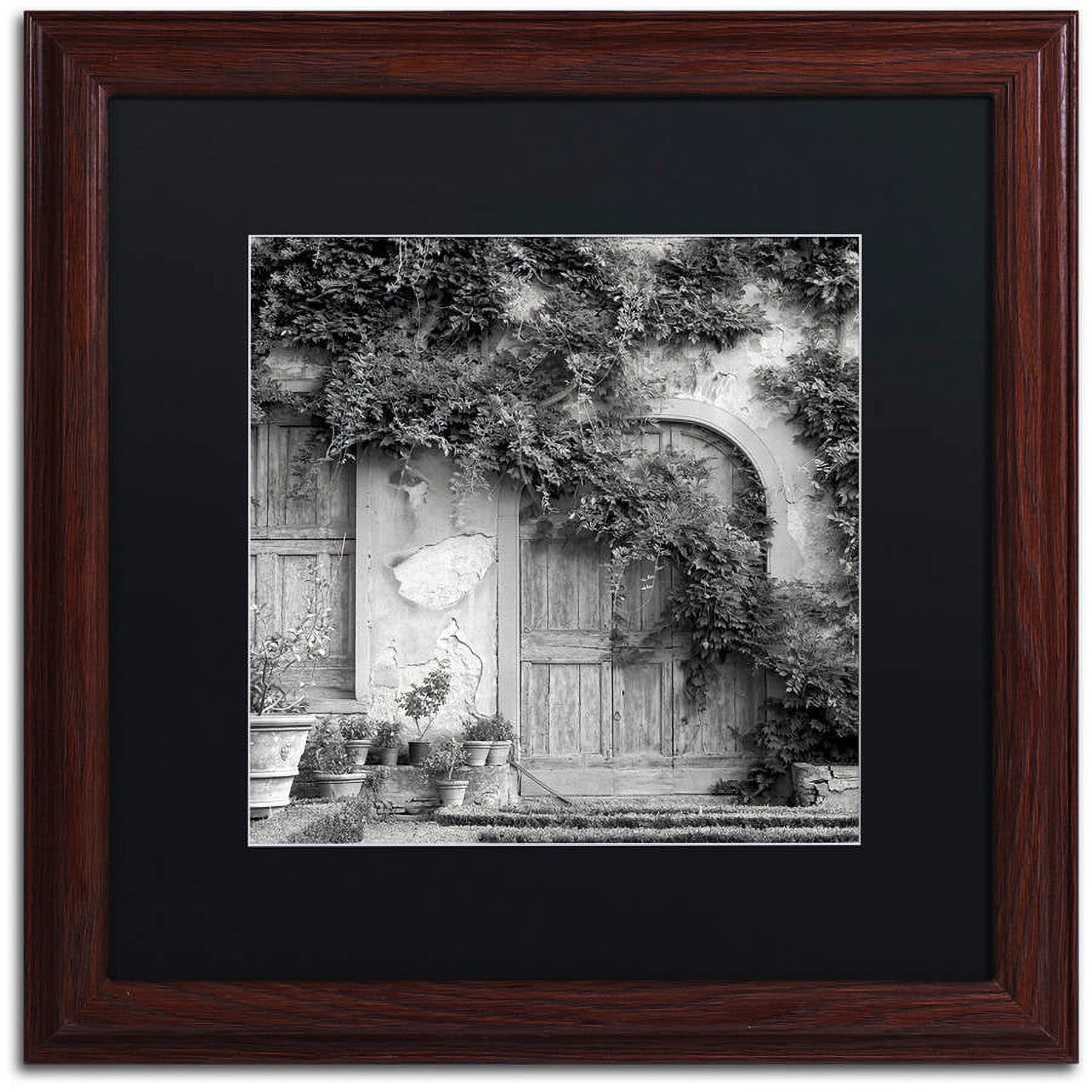 Trademark Fine Art "Tuscany VI" Canvas Art by Alan Blaustein, Black Matte, Wood Frame