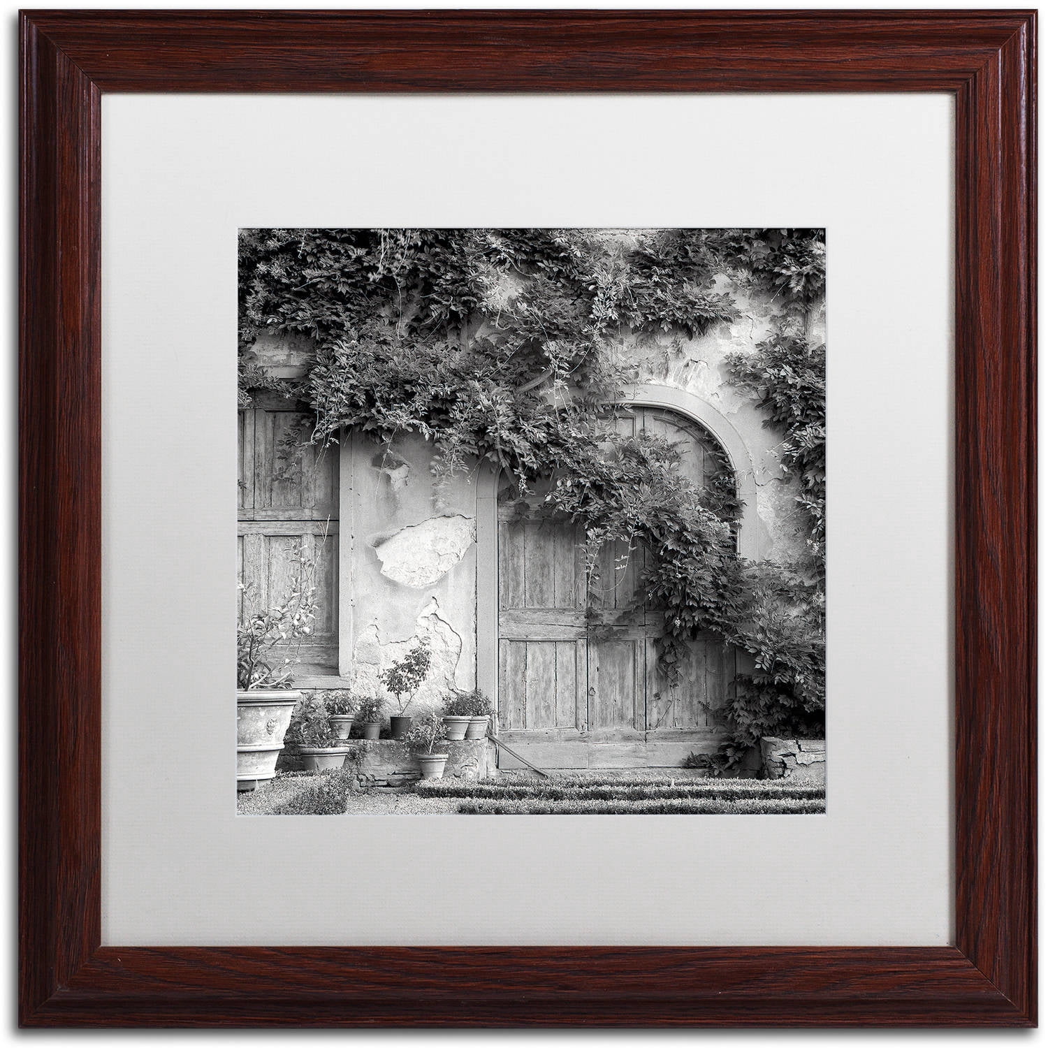 Trademark Fine Art "Tuscany VI" Canvas Art by Alan Blaustein, White Matte, Wood Frame