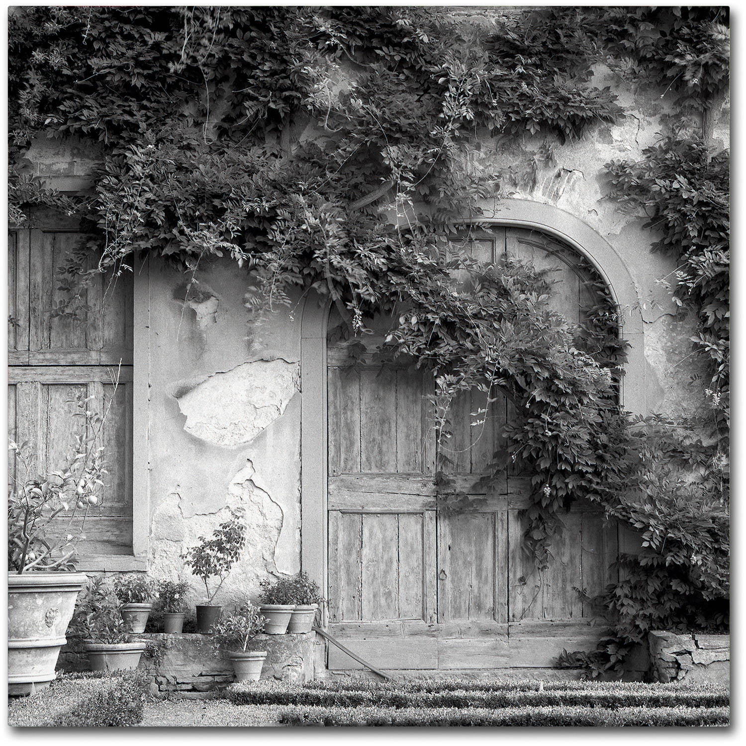 Trademark Fine Art "Tuscany VI" Canvas Art by Alan Blaustein